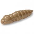 Pupa 1.5